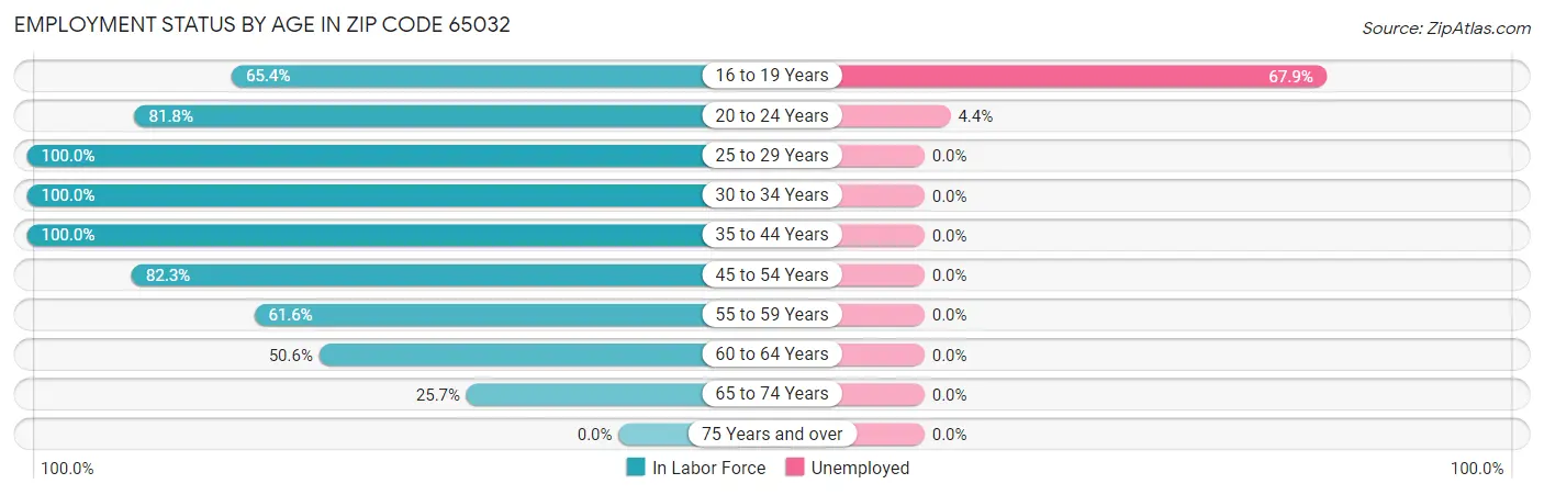 Employment Status by Age in Zip Code 65032