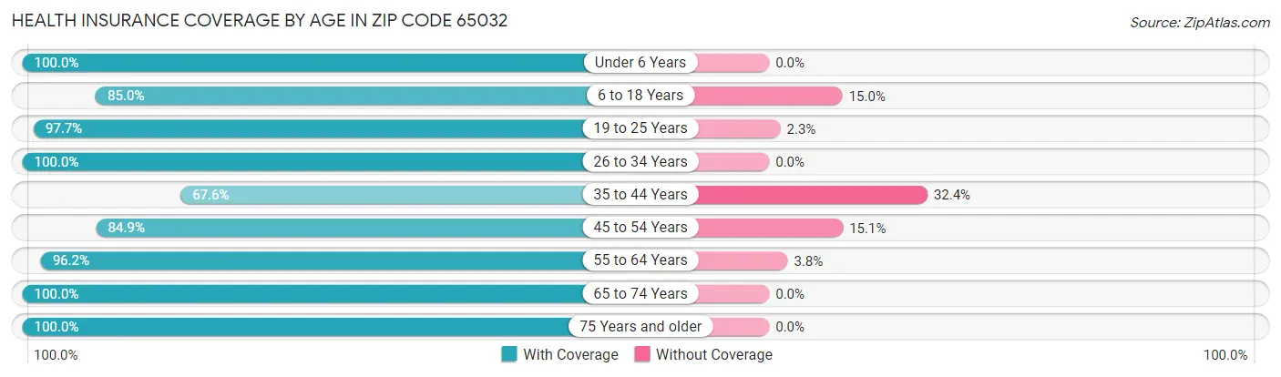 Health Insurance Coverage by Age in Zip Code 65032