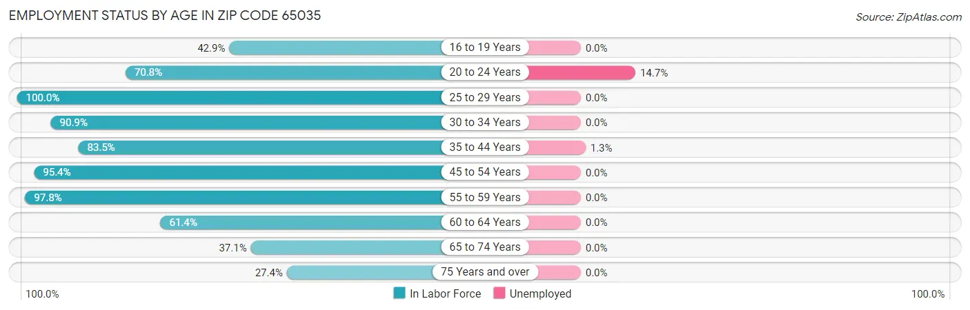 Employment Status by Age in Zip Code 65035