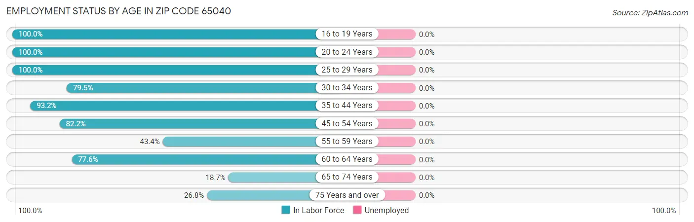 Employment Status by Age in Zip Code 65040