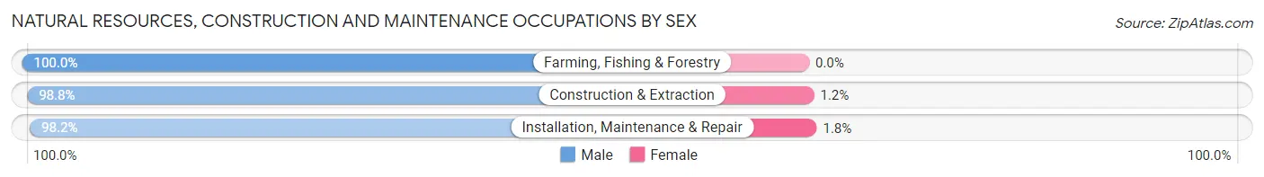 Natural Resources, Construction and Maintenance Occupations by Sex in Zip Code 65041