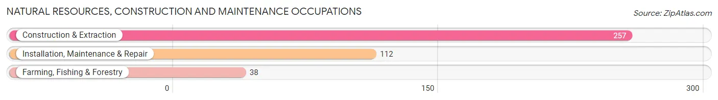 Natural Resources, Construction and Maintenance Occupations in Zip Code 65041