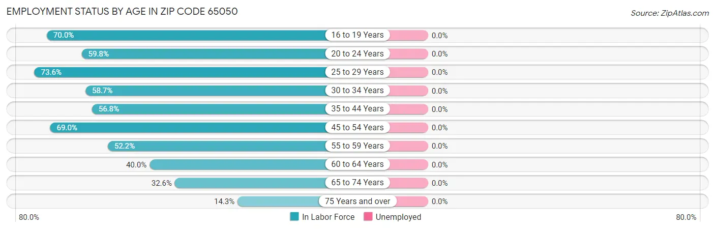 Employment Status by Age in Zip Code 65050