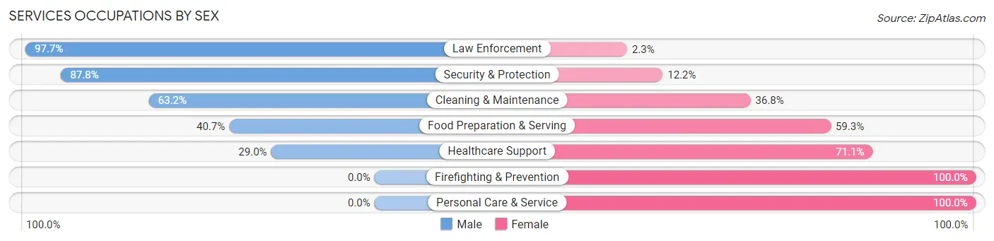 Services Occupations by Sex in Zip Code 65051