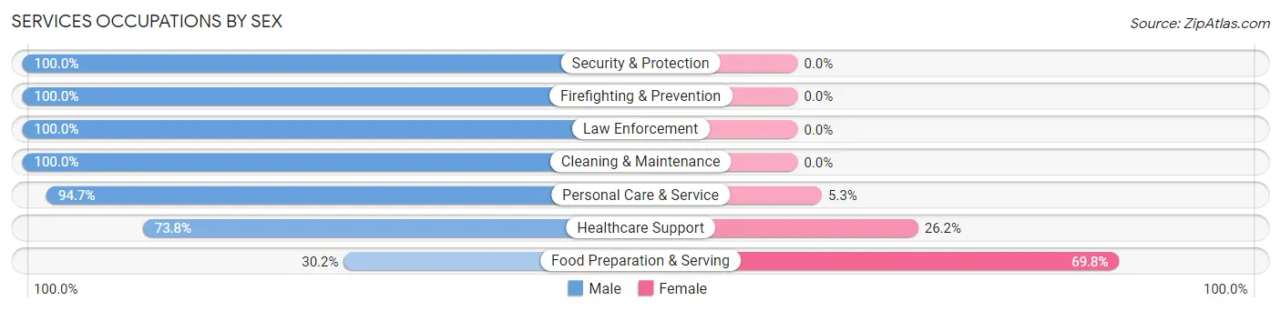 Services Occupations by Sex in Zip Code 65052