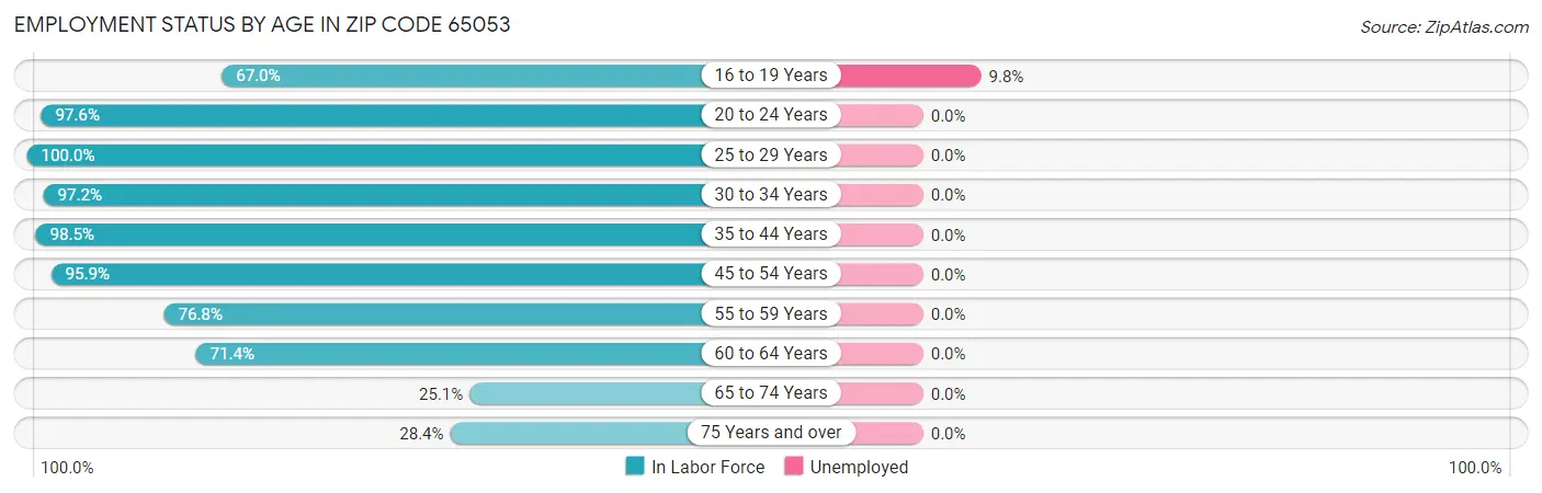 Employment Status by Age in Zip Code 65053