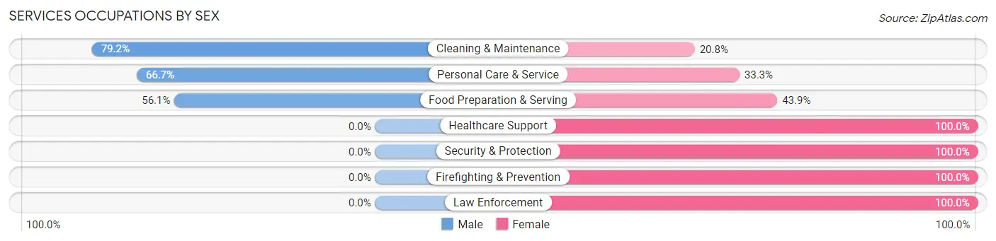 Services Occupations by Sex in Zip Code 65053