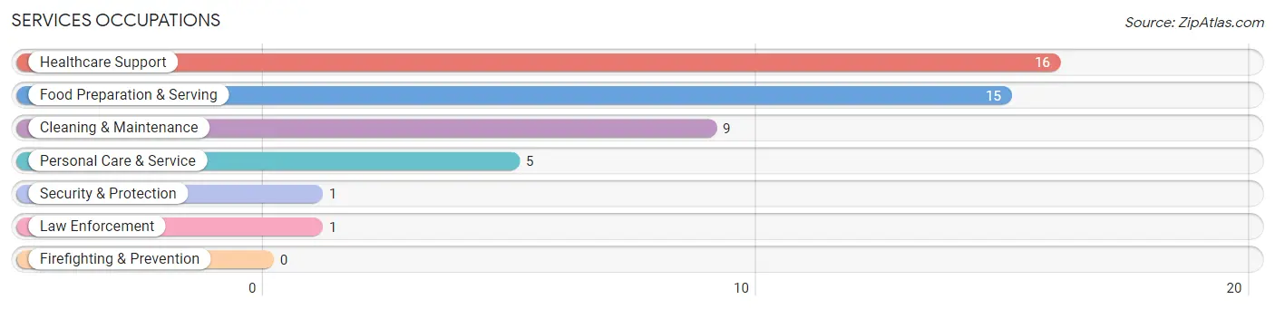 Services Occupations in Zip Code 65058