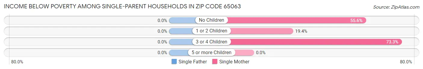 Income Below Poverty Among Single-Parent Households in Zip Code 65063