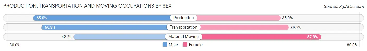 Production, Transportation and Moving Occupations by Sex in Zip Code 65063