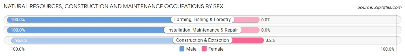 Natural Resources, Construction and Maintenance Occupations by Sex in Zip Code 65066