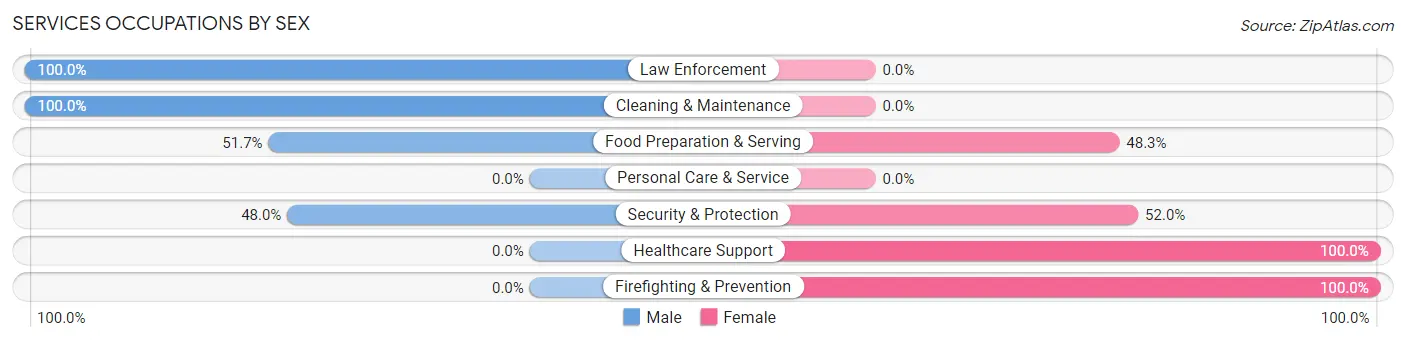 Services Occupations by Sex in Zip Code 65067