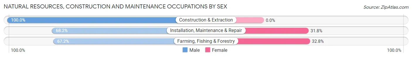 Natural Resources, Construction and Maintenance Occupations by Sex in Zip Code 65078