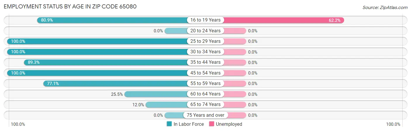 Employment Status by Age in Zip Code 65080