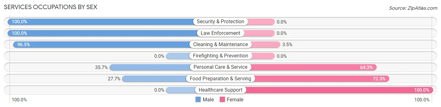 Services Occupations by Sex in Zip Code 65081