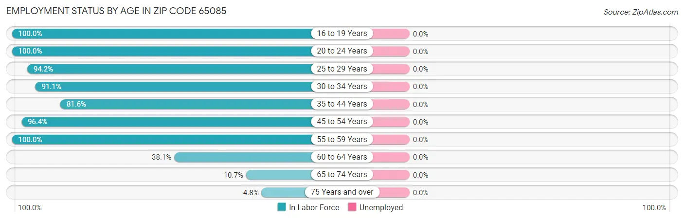 Employment Status by Age in Zip Code 65085