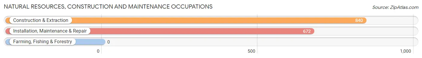 Natural Resources, Construction and Maintenance Occupations in Zip Code 65109