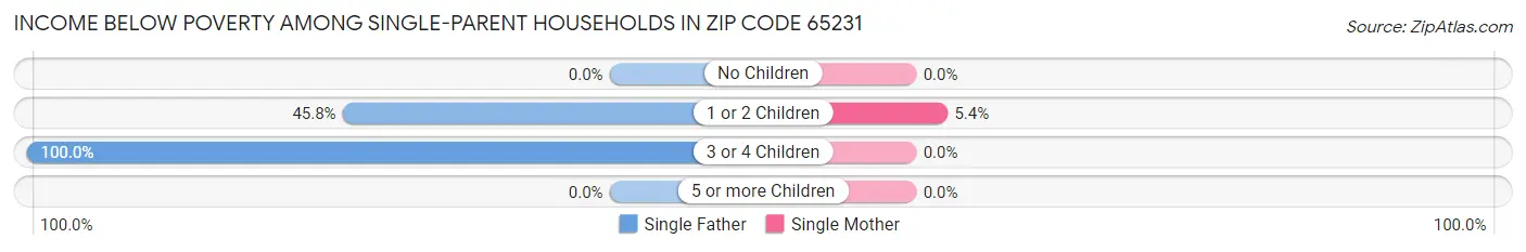 Income Below Poverty Among Single-Parent Households in Zip Code 65231