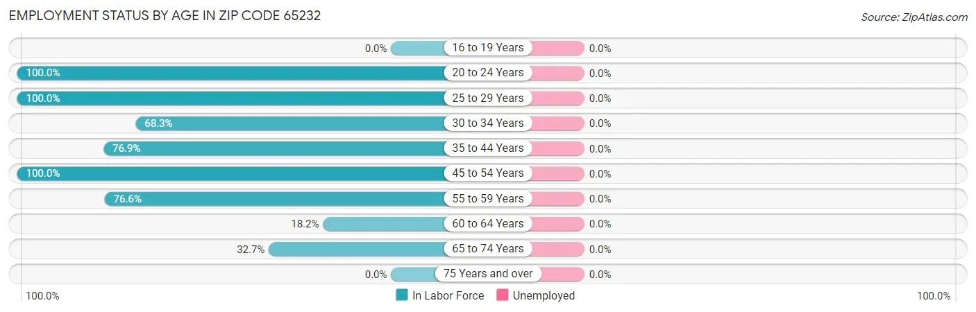 Employment Status by Age in Zip Code 65232