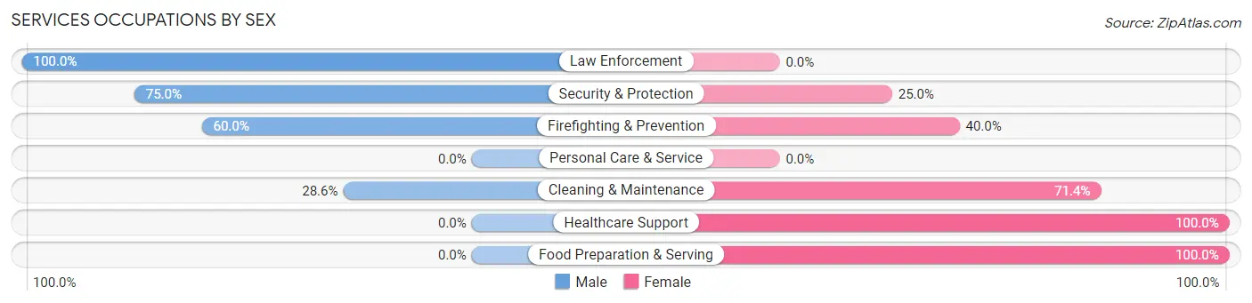 Services Occupations by Sex in Zip Code 65232