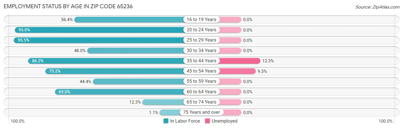 Employment Status by Age in Zip Code 65236