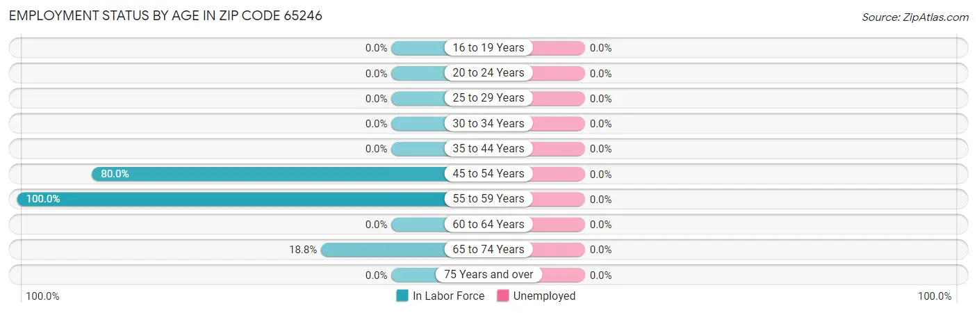 Employment Status by Age in Zip Code 65246