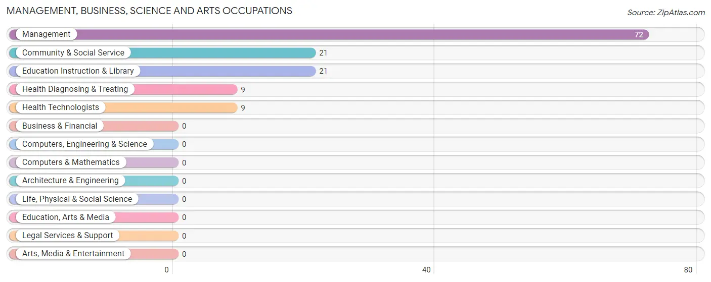 Management, Business, Science and Arts Occupations in Zip Code 65247