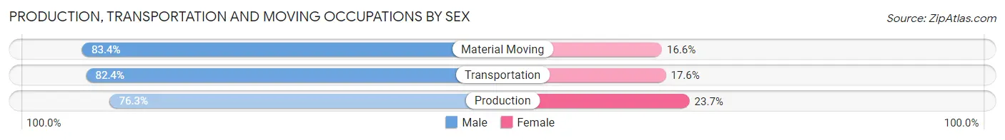 Production, Transportation and Moving Occupations by Sex in Zip Code 65251