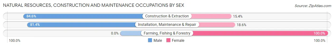 Natural Resources, Construction and Maintenance Occupations by Sex in Zip Code 65254