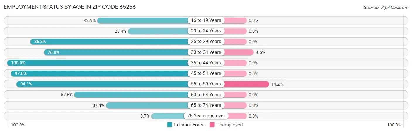 Employment Status by Age in Zip Code 65256