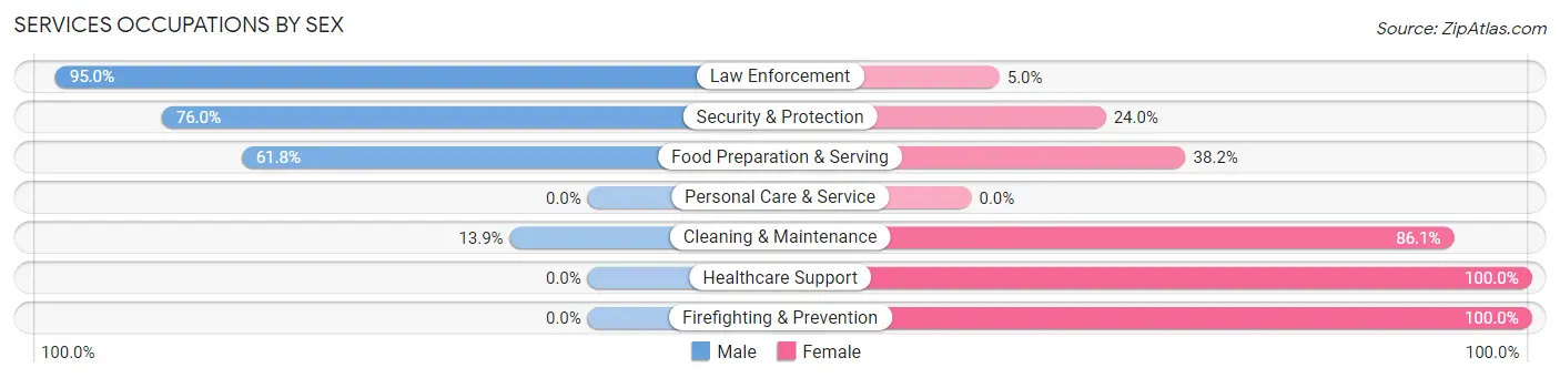 Services Occupations by Sex in Zip Code 65275