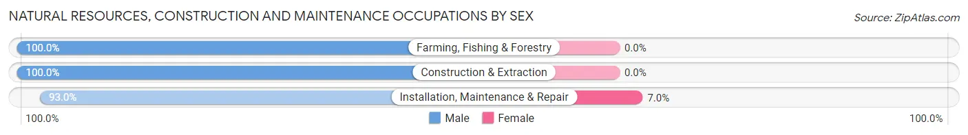 Natural Resources, Construction and Maintenance Occupations by Sex in Zip Code 65284