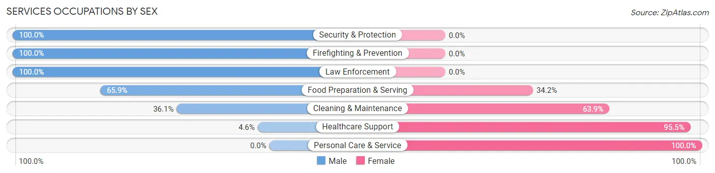 Services Occupations by Sex in Zip Code 65284