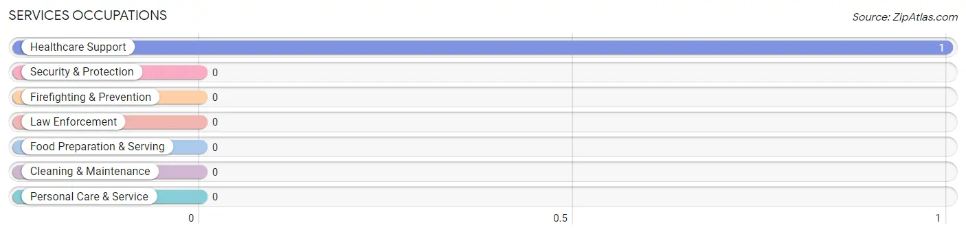 Services Occupations in Zip Code 65286