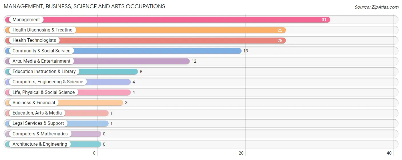 Management, Business, Science and Arts Occupations in Zip Code 65287