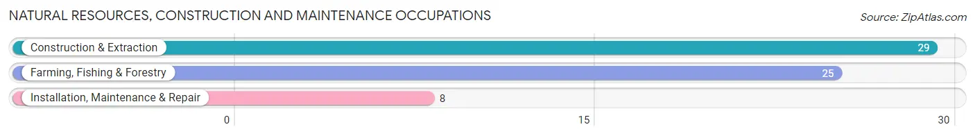 Natural Resources, Construction and Maintenance Occupations in Zip Code 65333