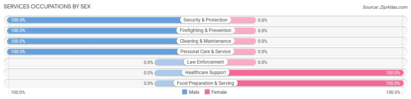 Services Occupations by Sex in Zip Code 65334