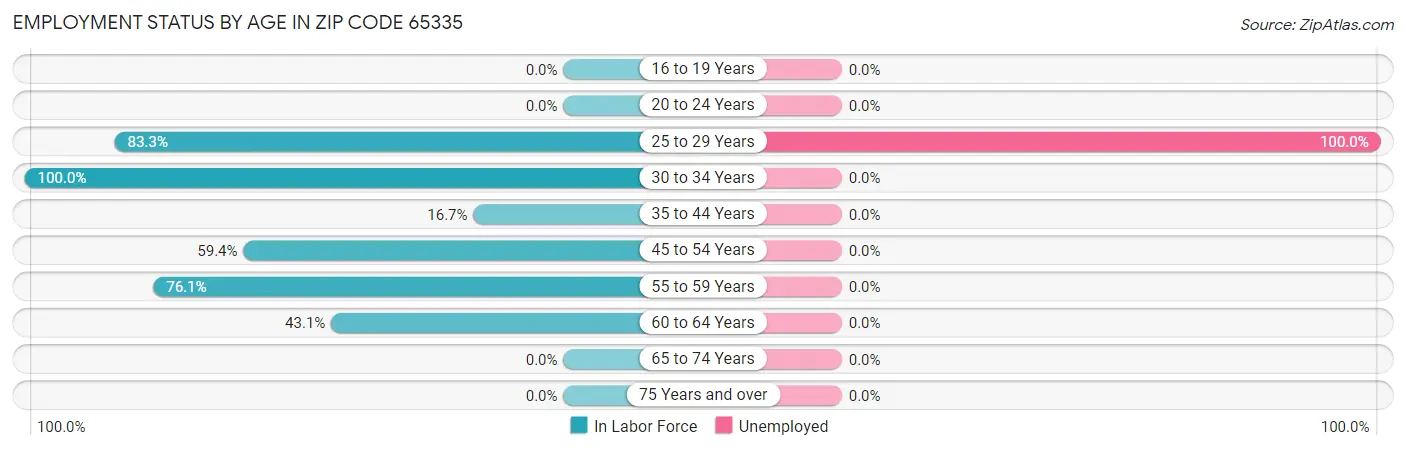 Employment Status by Age in Zip Code 65335