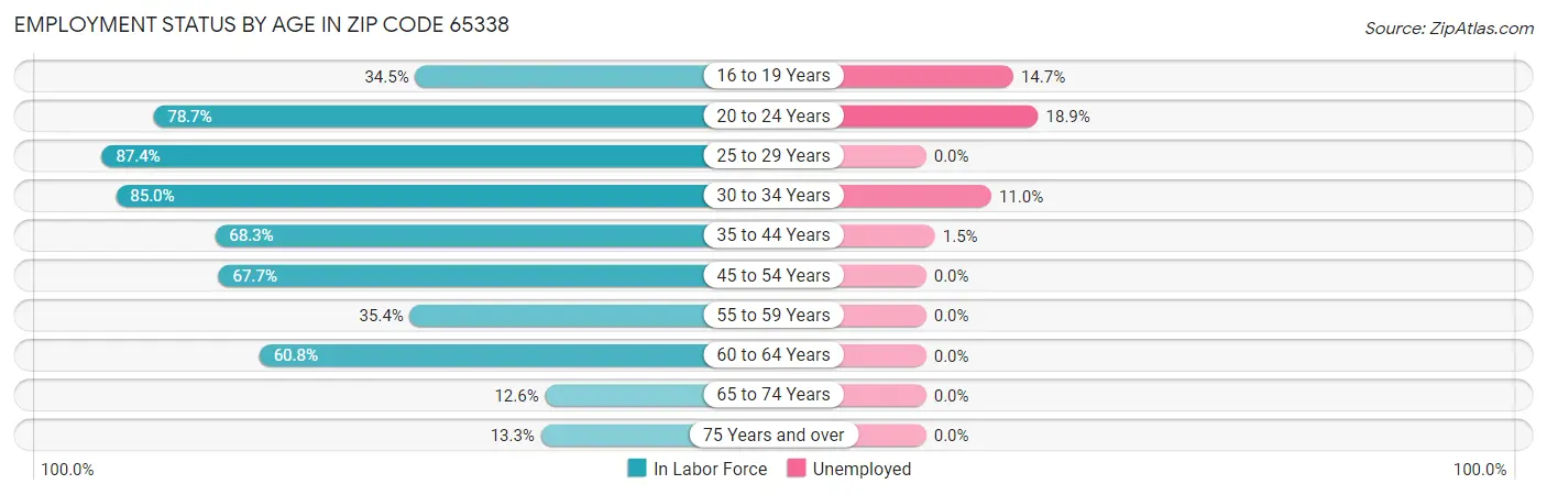 Employment Status by Age in Zip Code 65338