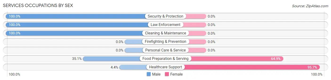 Services Occupations by Sex in Zip Code 65338