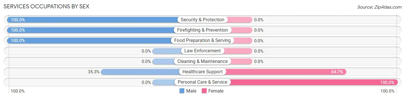 Services Occupations by Sex in Zip Code 65339
