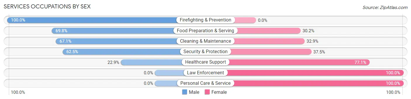 Services Occupations by Sex in Zip Code 65351
