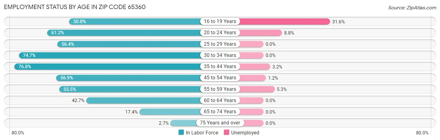 Employment Status by Age in Zip Code 65360