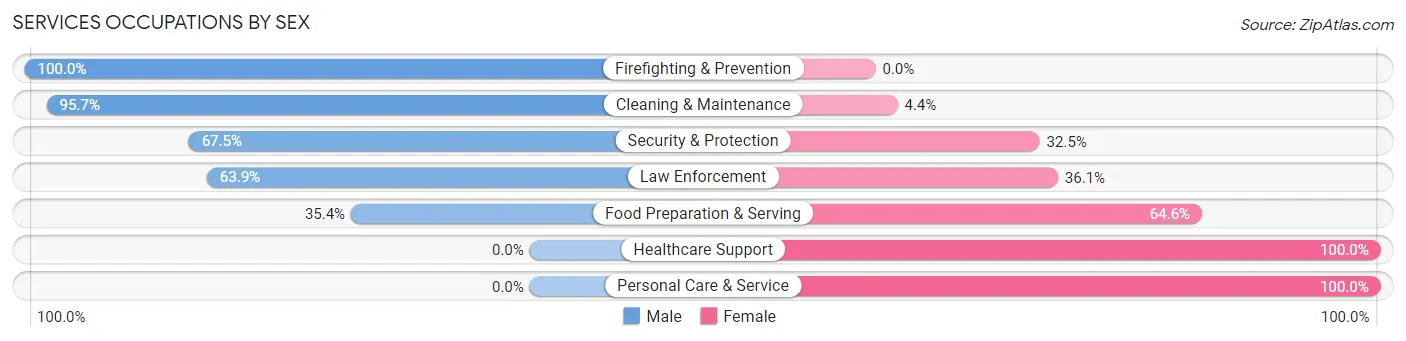 Services Occupations by Sex in Zip Code 65441