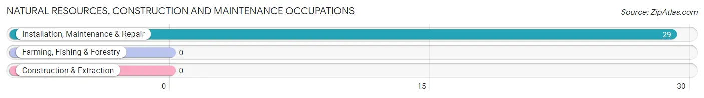 Natural Resources, Construction and Maintenance Occupations in Zip Code 65446