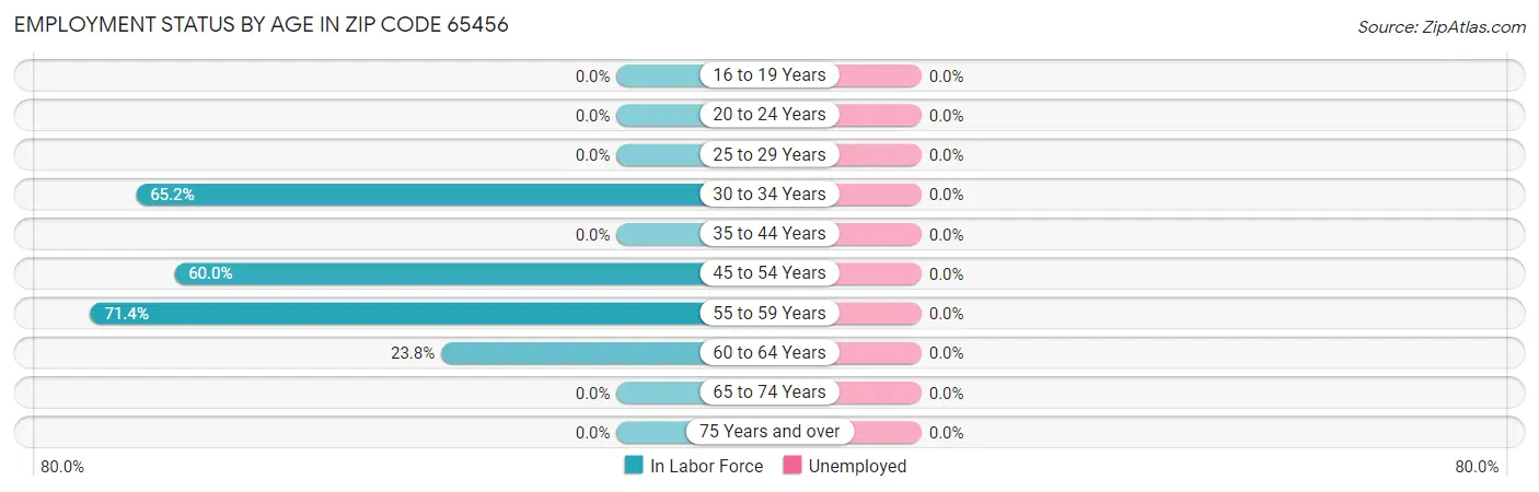 Employment Status by Age in Zip Code 65456