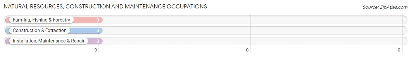 Natural Resources, Construction and Maintenance Occupations in Zip Code 65457