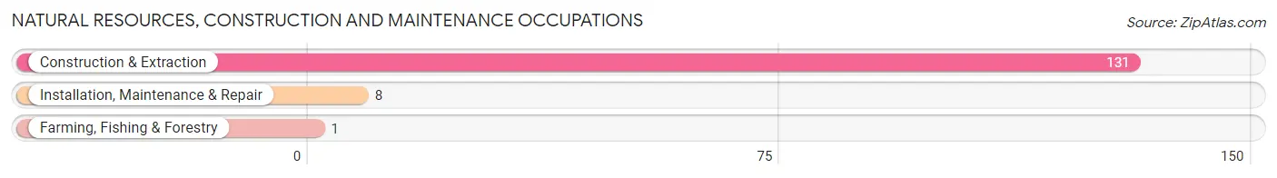 Natural Resources, Construction and Maintenance Occupations in Zip Code 65486