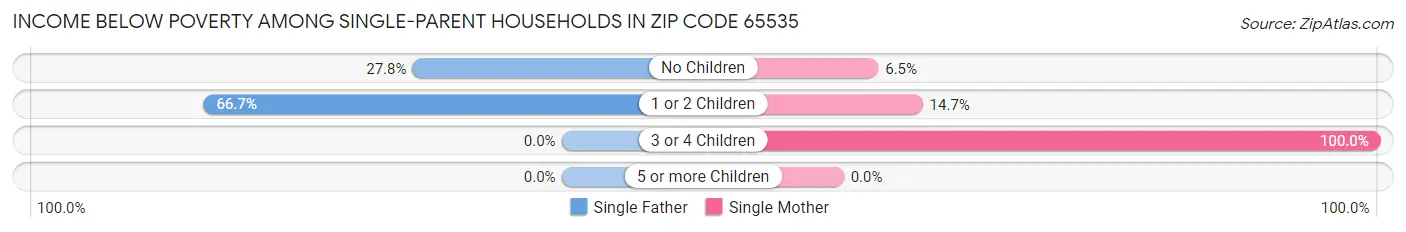 Income Below Poverty Among Single-Parent Households in Zip Code 65535