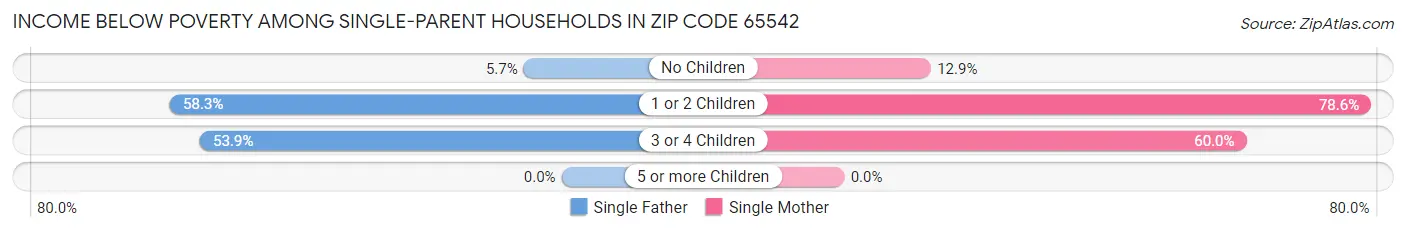 Income Below Poverty Among Single-Parent Households in Zip Code 65542